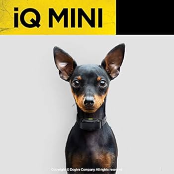 ドッグトラ Dogtra IQ ヤード トレーニング カーラー 小型犬用 楽天市場】【28時間1000円クーポン!先着20名様】ドッグトラ